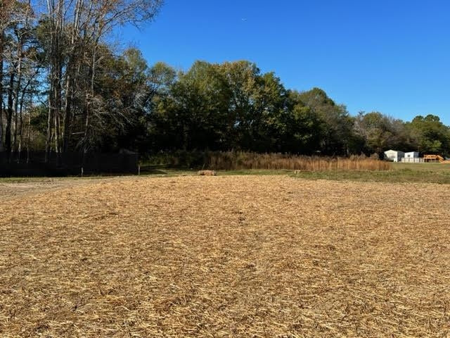 122 Olive Br Drive Smithfield, NC 27577 - Photo 20 of 23 a view of a lake view