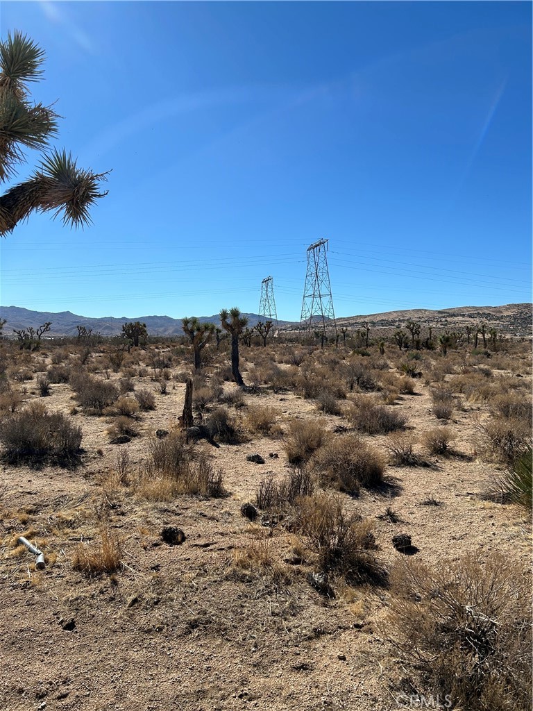 172062 Poppy Road Apple Valley, CA 92308 - Photo 3 of 3