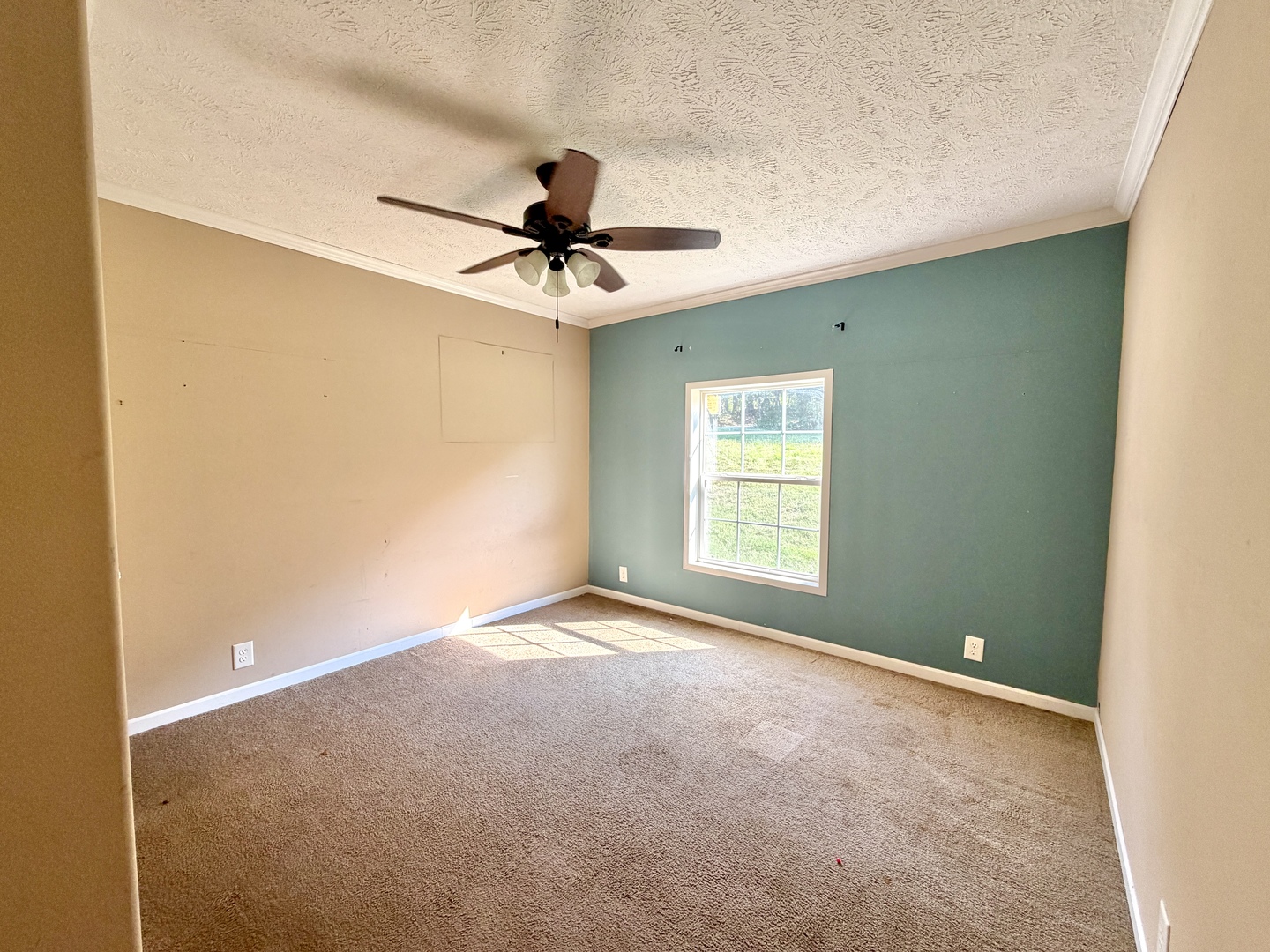 1925 Murphy Road Creal Springs, IL 62922 - Photo 27 of 45 Gallery Image 27
