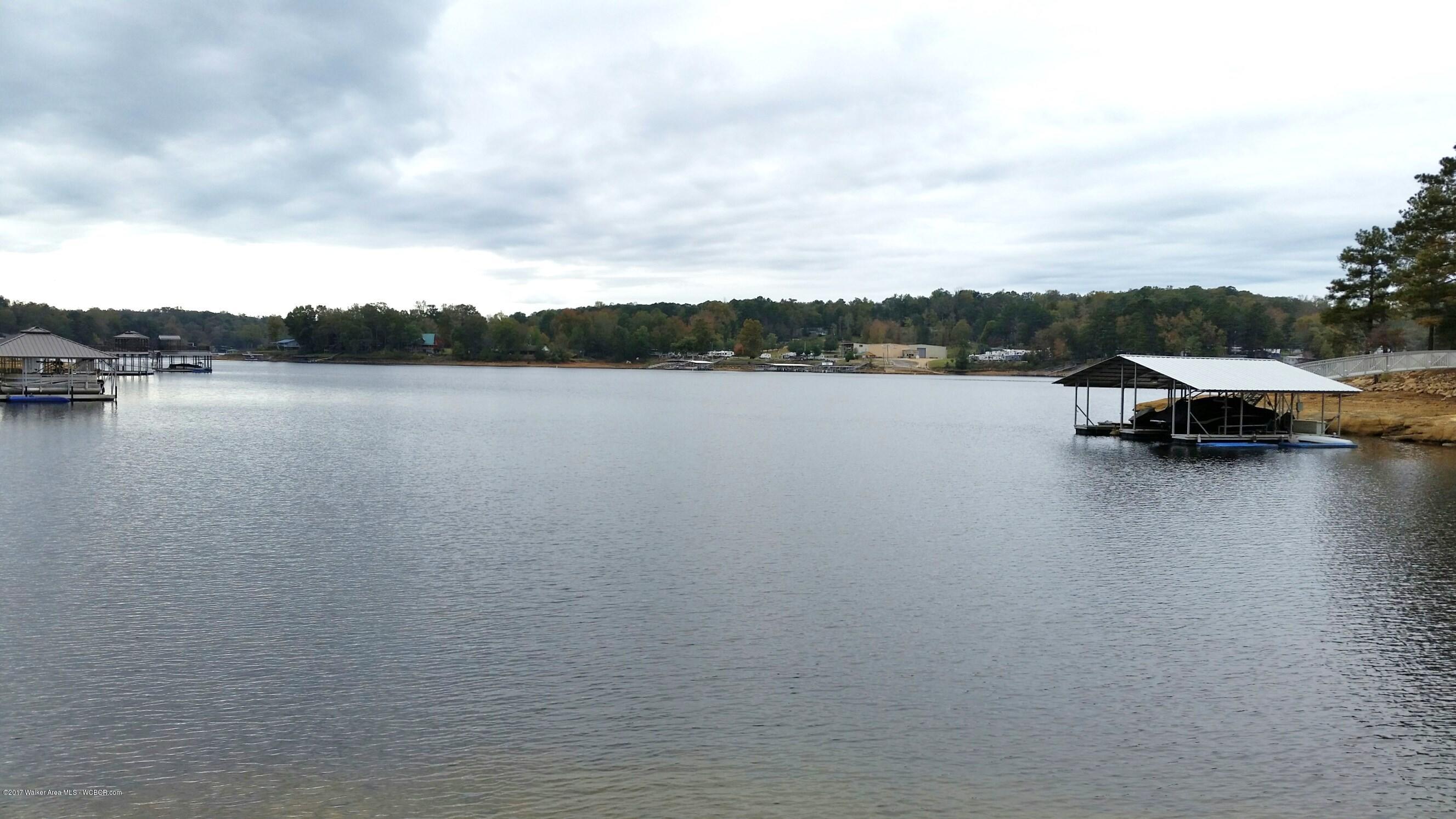 Lot 41 Co Road Crane Hill, AL 35053 - Photo 1 of 11 Gallery Image 1