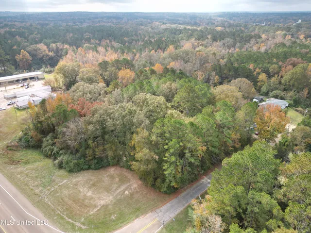 $89,900 | 0 Dear Drive, Mendenhall, MS 39114