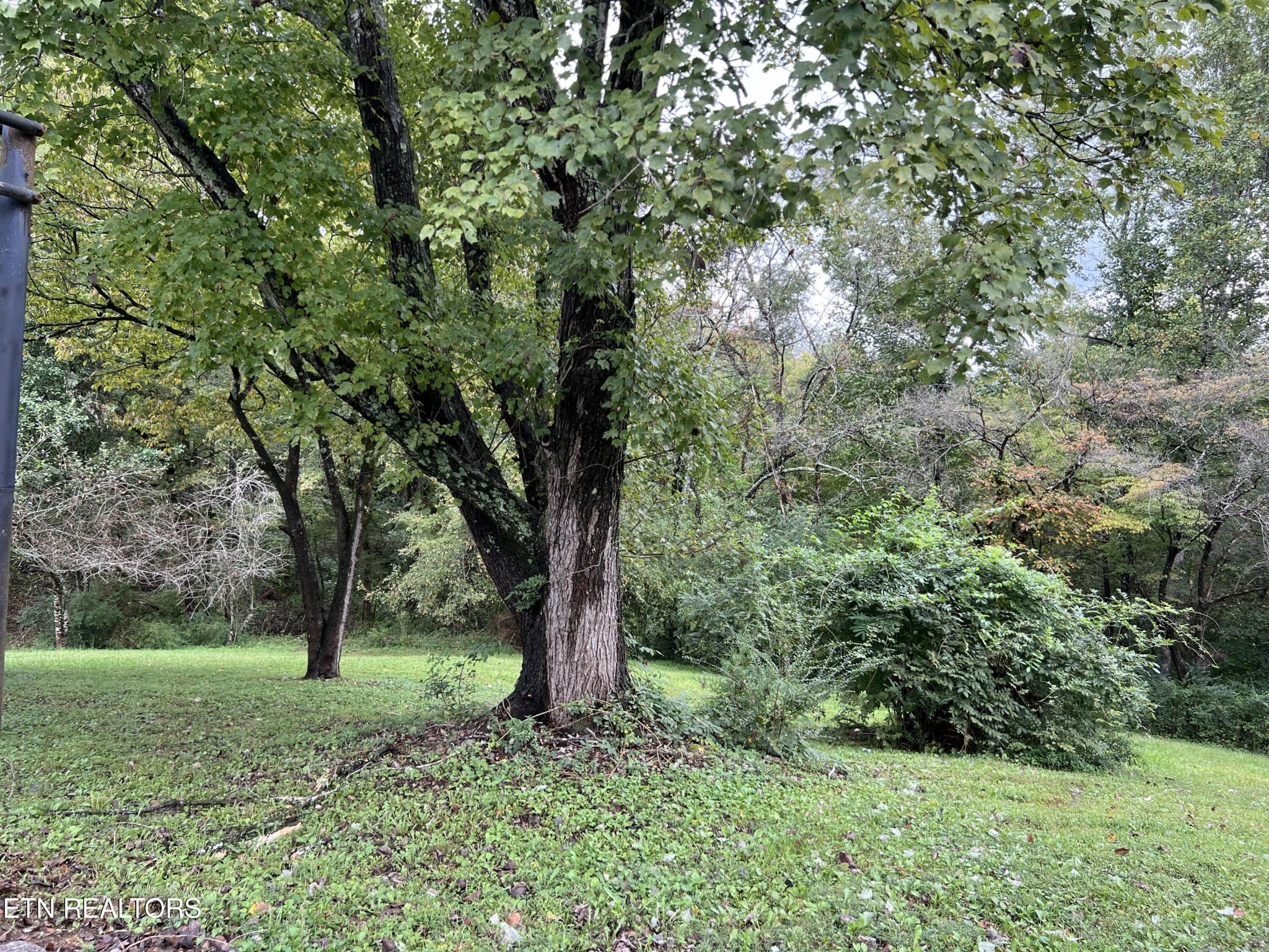 345 Emory Heights Road Harriman, TN 37748 - Photo 26 of 28 Gallery Image 26