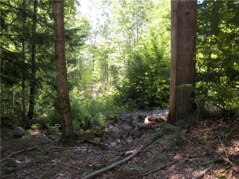 Lot 21 Hussey Road Parsonsfield, ME 04047 - Photo 12 of 15 Land. Upper access location from...