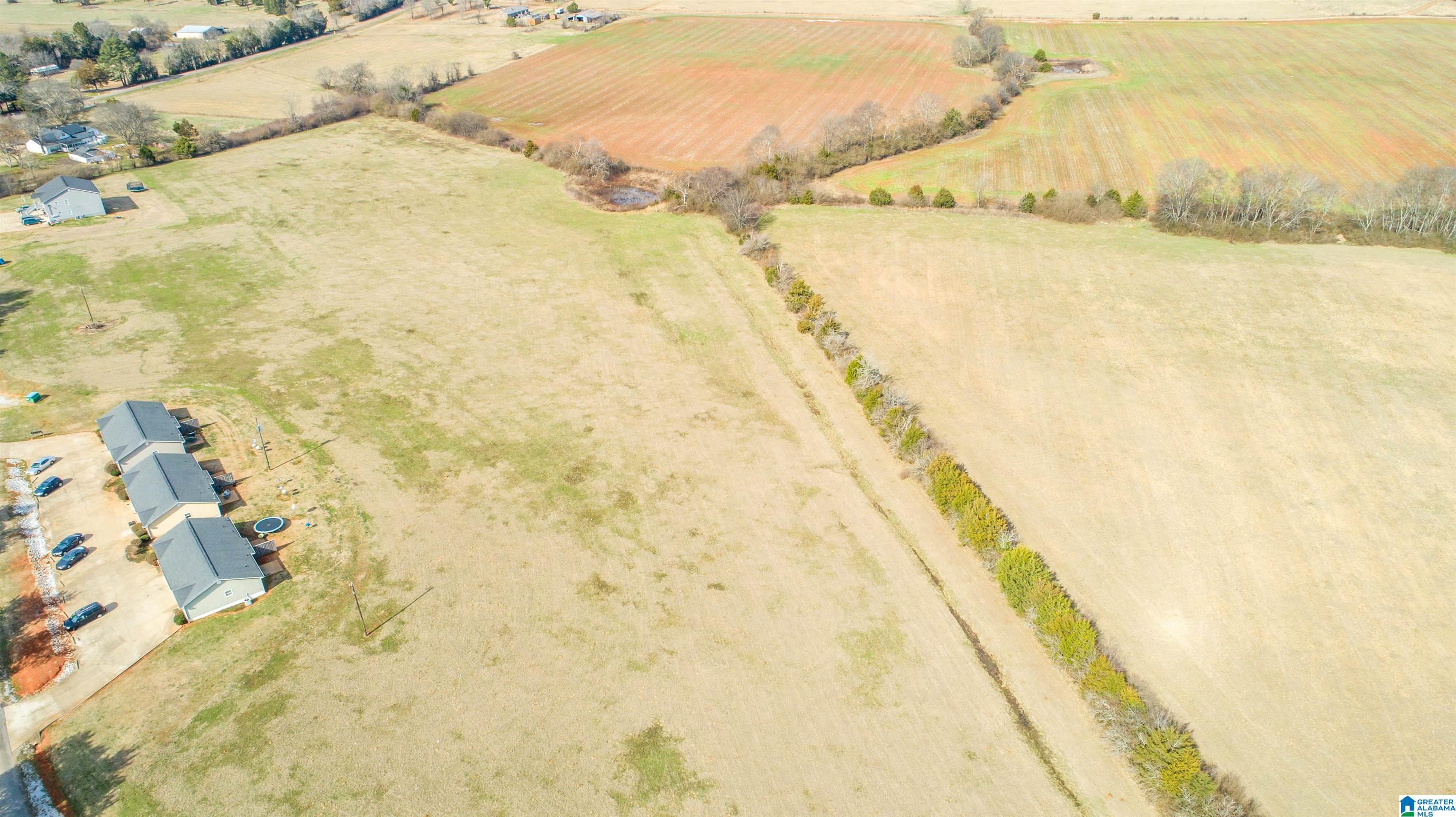 0 Oak Grove Road Munford, AL 36268 - Photo 9 of 9