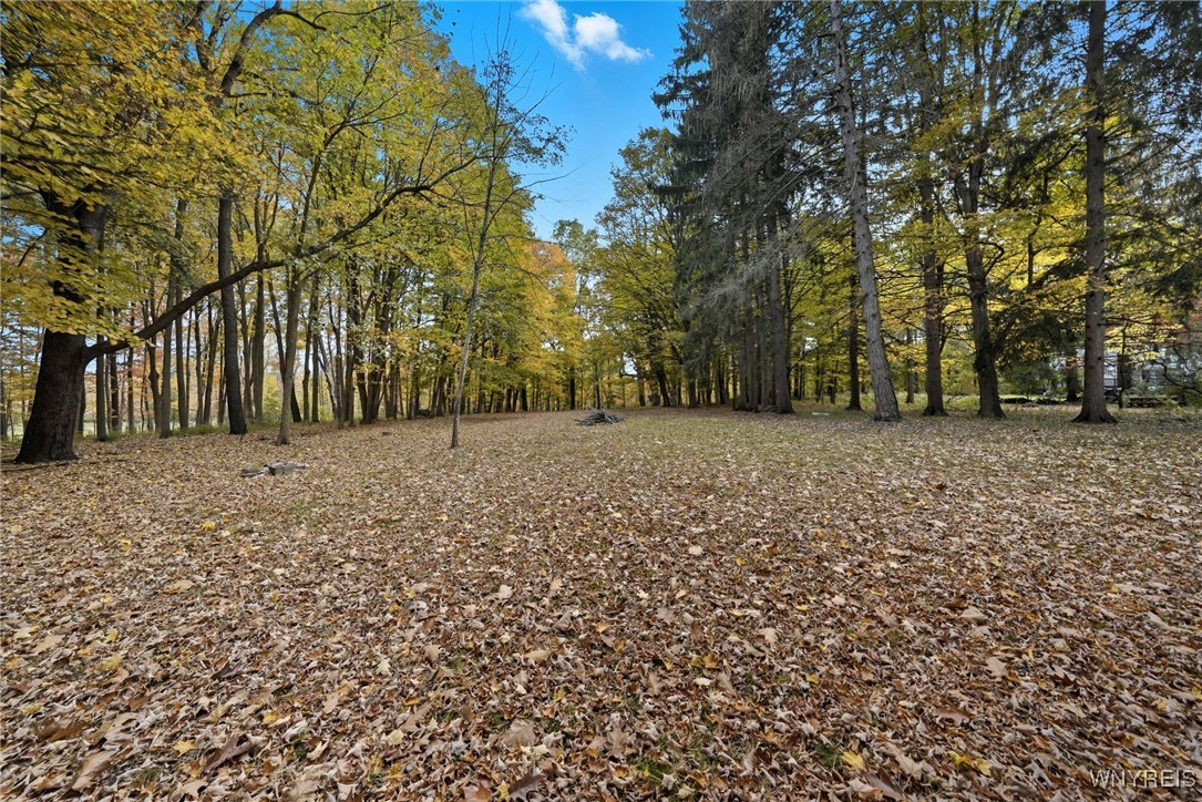 2155 Lakeview Road Lake View, NY 14085 - Photo 42 of 49