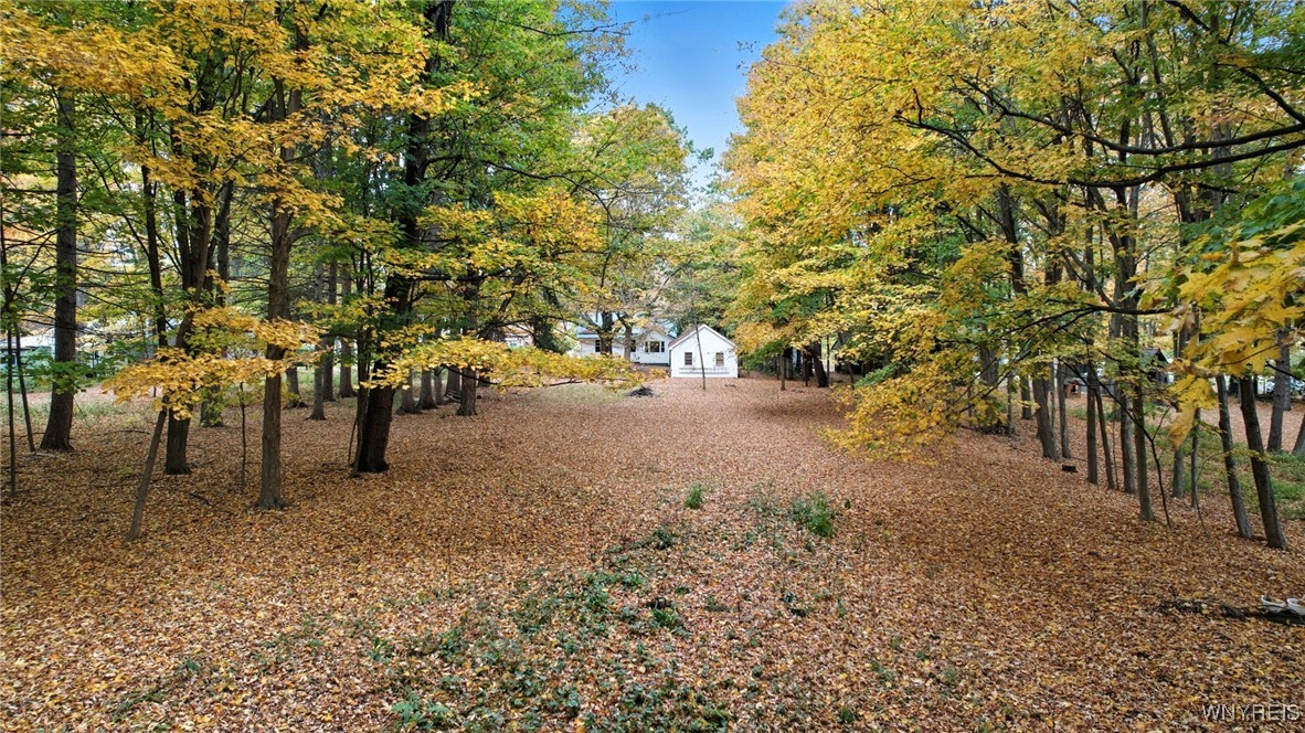 2155 Lakeview Road Lake View, NY 14085 - Photo 45 of 49