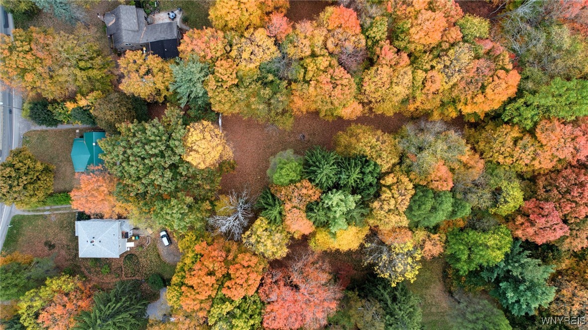 2155 Lakeview Road Lake View, NY 14085 - Photo 46 of 49