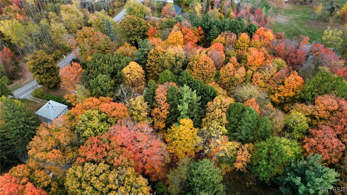 2155 Lakeview Road Lake View, NY 14085 - Photo 47 of 49