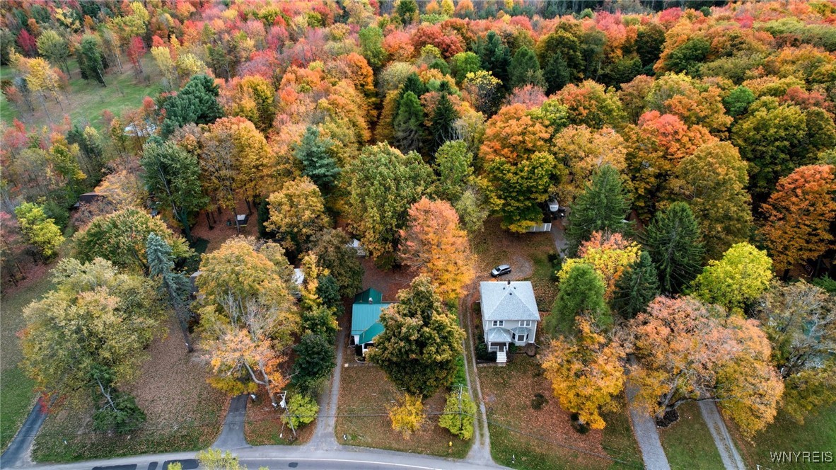 2155 Lakeview Road Lake View, NY 14085 - Photo 48 of 49