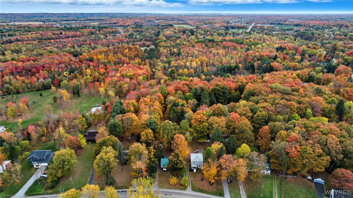 2155 Lakeview Road Lake View, NY 14085 - Photo 49 of 49