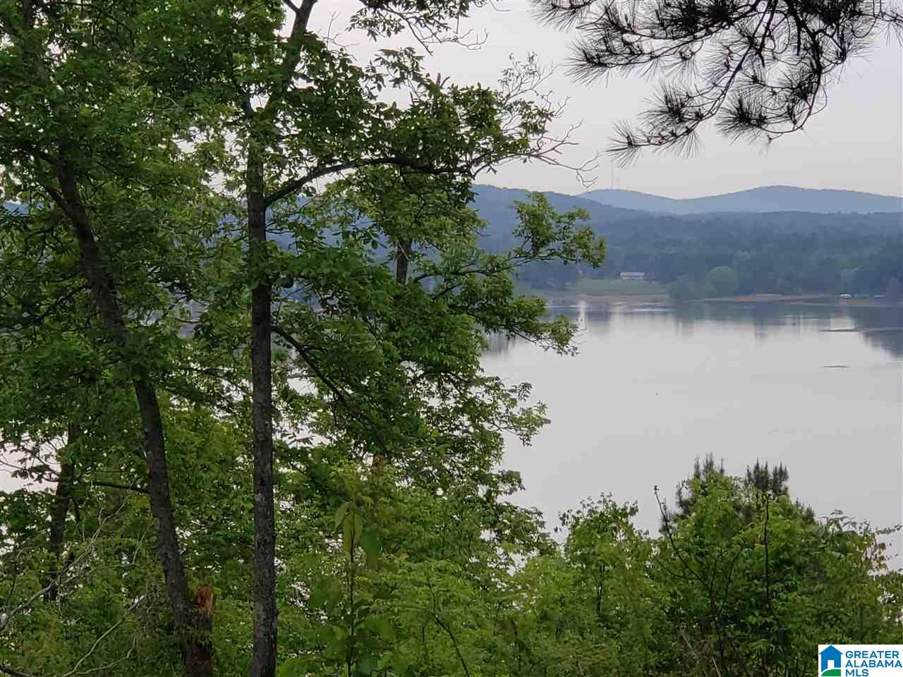 205 Overlook Ridge Lincoln, AL 35096 - Photo 2 of 17