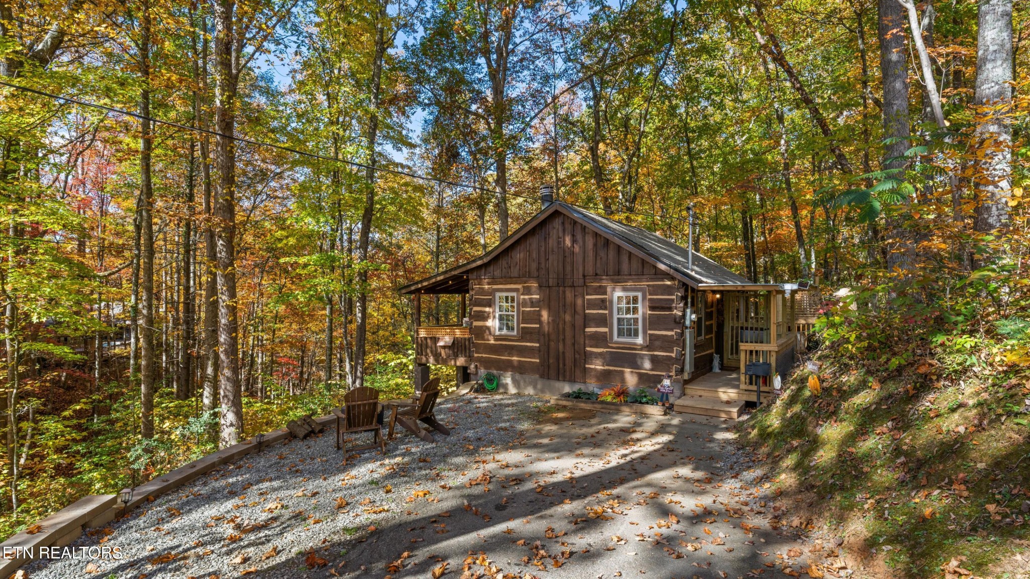 1131 Old Cartertown Road Gatlinburg, TN 37738 - Photo 15 of 18 a view of a house with a small yard and covered with tall trees
