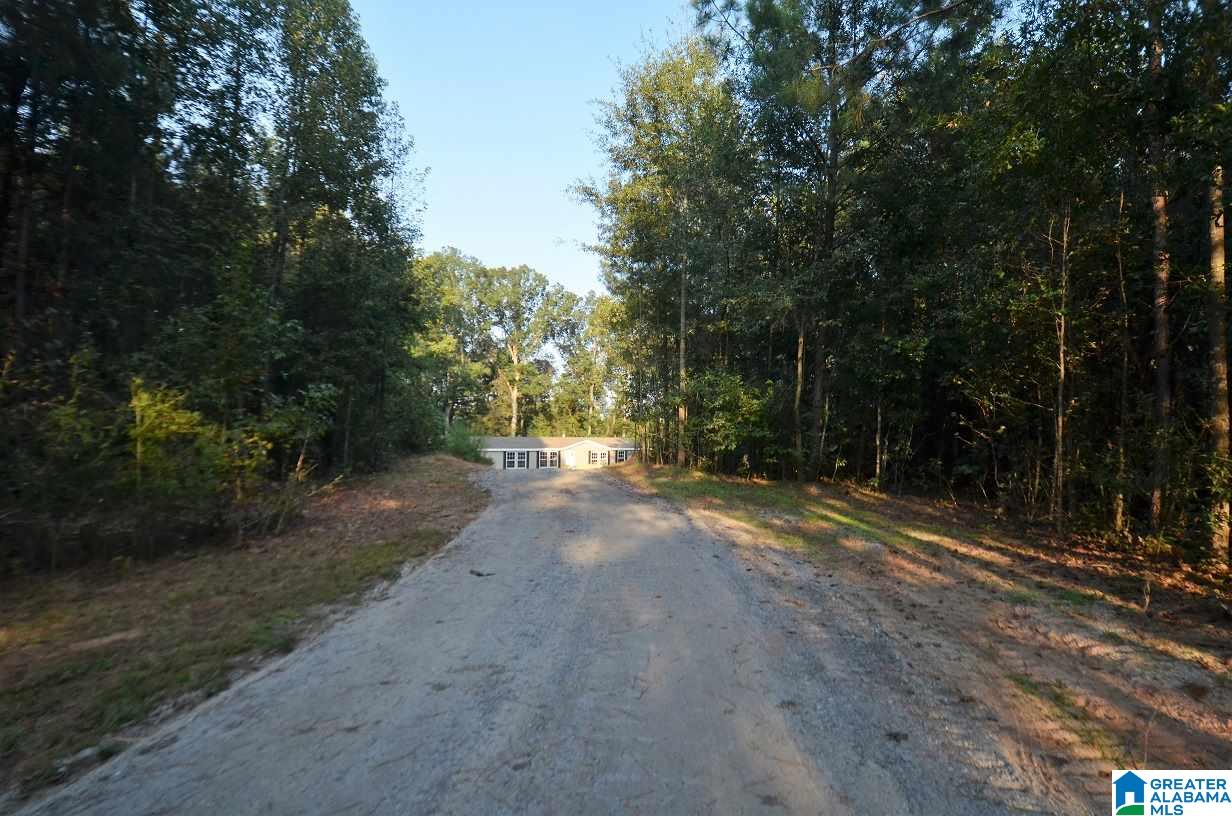156 Cowpens Road Daviston, AL 36256 - Photo 33 of 33