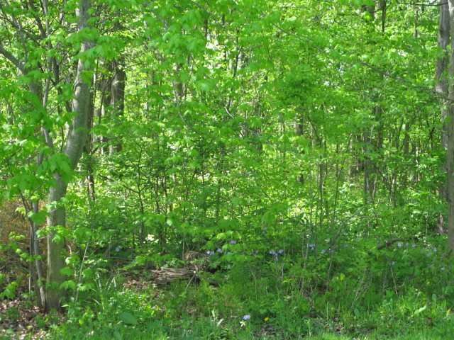 5970 County Road 34 Butler, IN 46721 - Photo 22 of 23