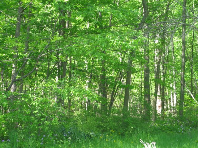5970 County Road 34 Butler, IN 46721 - Photo 23 of 23