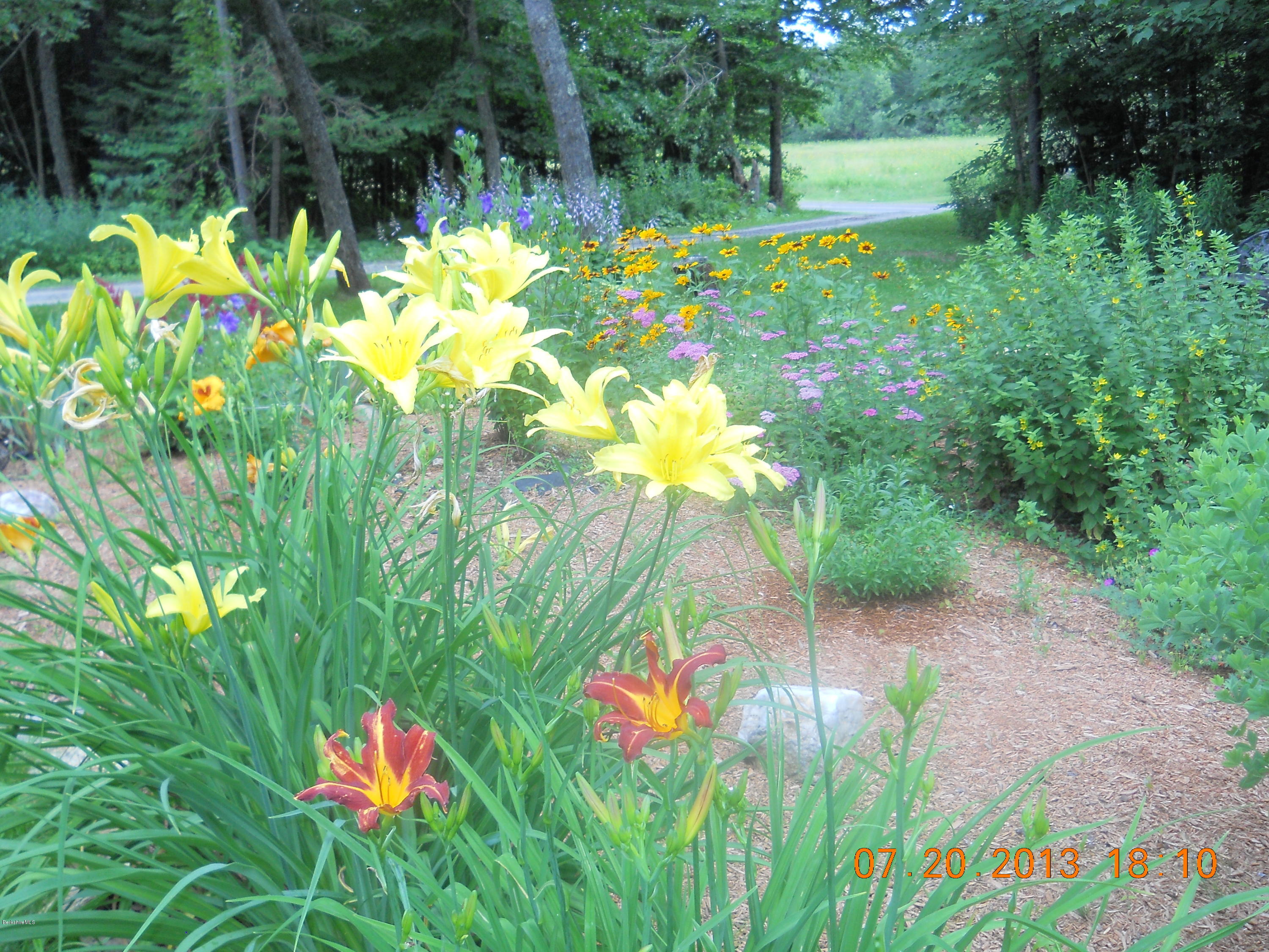 46 West Main Road Peru, MA 01235 - Photo 25 of 29 a backyard of a house with lots of green space and trees