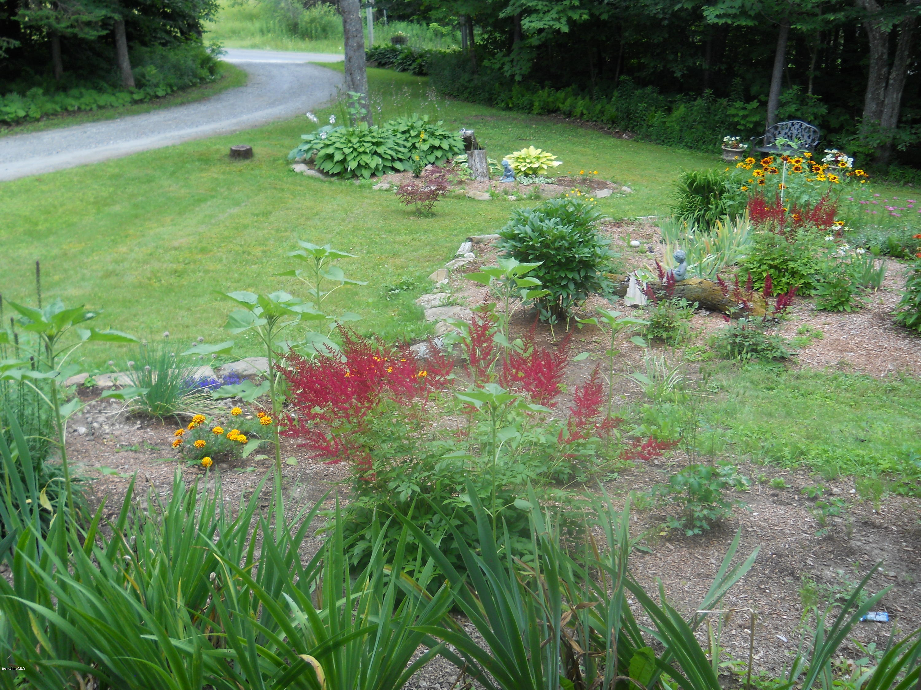 46 West Main Road Peru, MA 01235 - Photo 26 of 29 a view of yard with green space