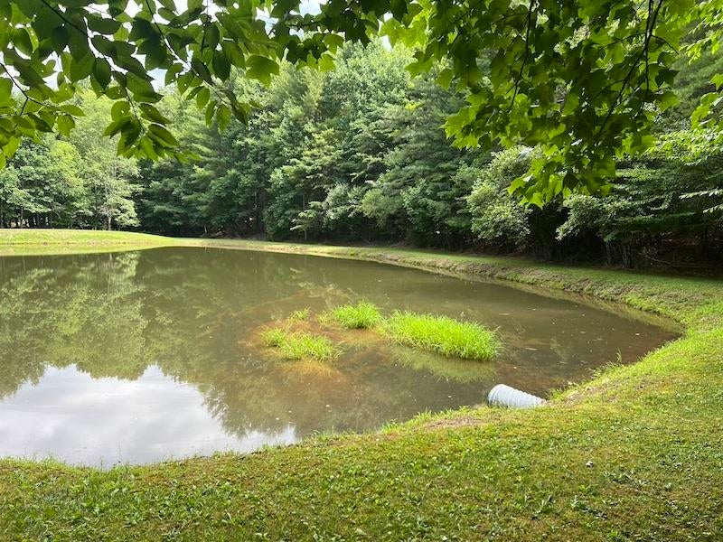 Tbd Music Road Northwest Floyd, VA 24091 - Photo 10 of 26 Gallery Image 10