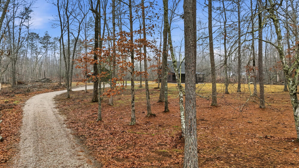 1655 Gizzard Creek Road Sequatchie, TN 37374 - Photo 25 of 38 26_1655 gizzard creek rd-26