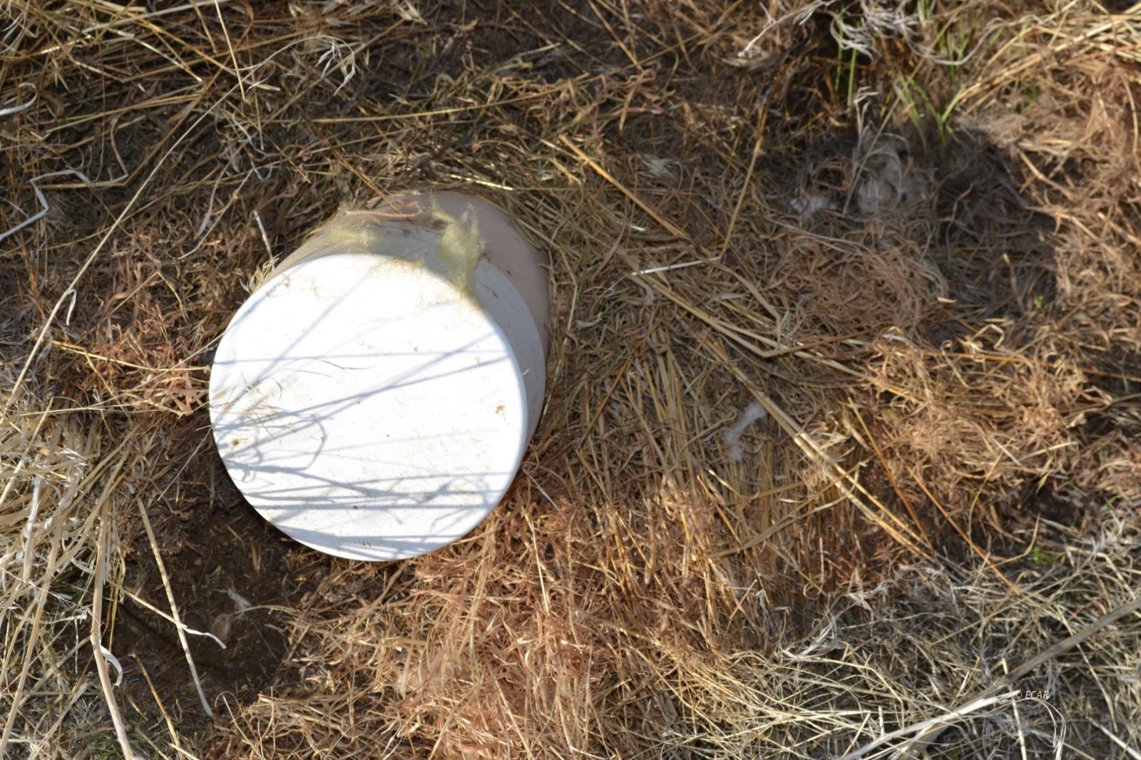 5th St Crescent Valley Crescent Valley, NV 89821 - Photo 12 of 18