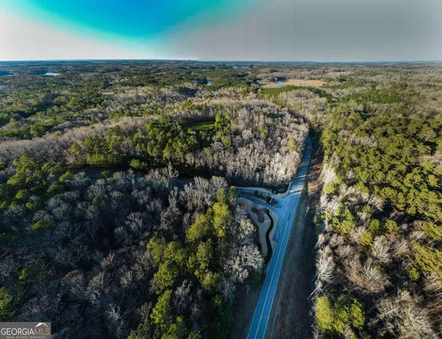a view of a garden with plants