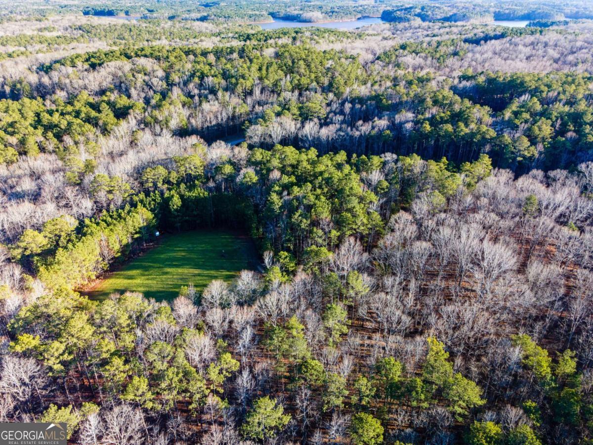 0 Cameron Mill Road LaGrange, GA 30240 - Photo 12 of 28 a view of a garden with plants