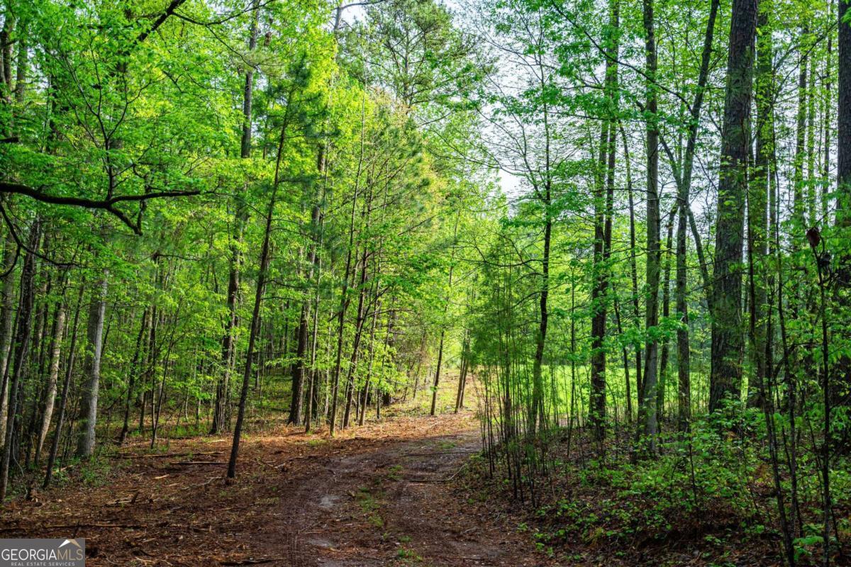 0 Cameron Mill Road LaGrange, GA 30240 - Photo 2 of 28 a view of outdoor space and trees