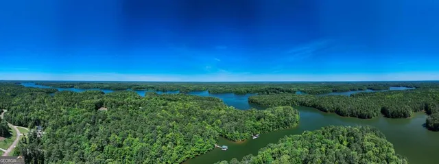 an aerial view of a house with pool plants and large trees