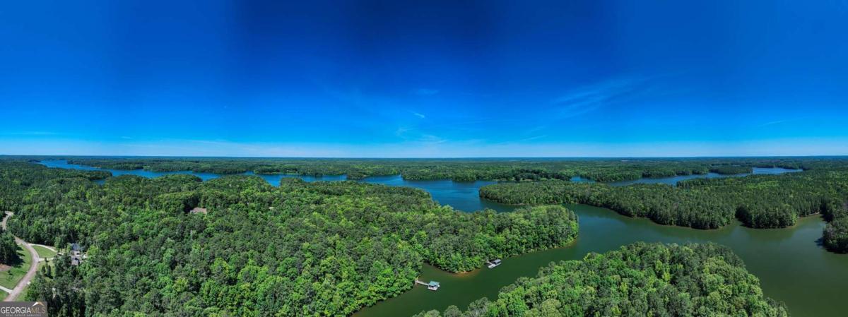 0 Cameron Mill Road LaGrange, GA 30240 - Photo 21 of 28 a view of a green field with lots of bushes