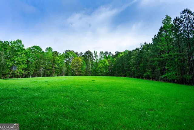 a view of a big yard with a tree