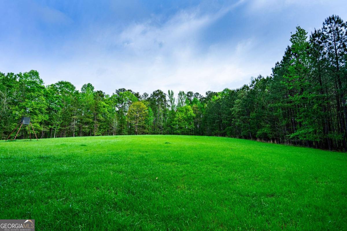 0 Cameron Mill Road LaGrange, GA 30240 - Photo 4 of 28 a view of a big yard with a tree