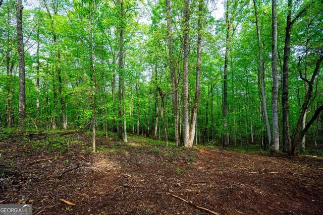 a view of outdoor space and trees