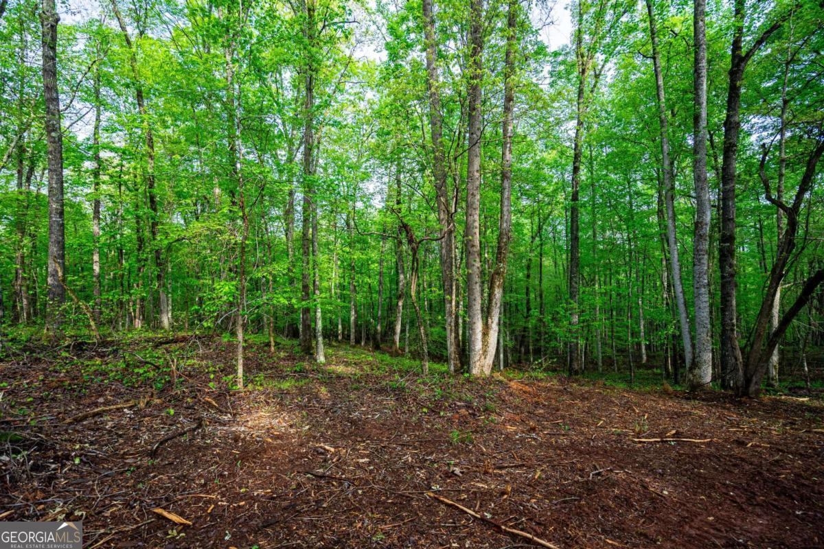 0 Cameron Mill Road LaGrange, GA 30240 - Photo 6 of 28 a view of outdoor space and trees