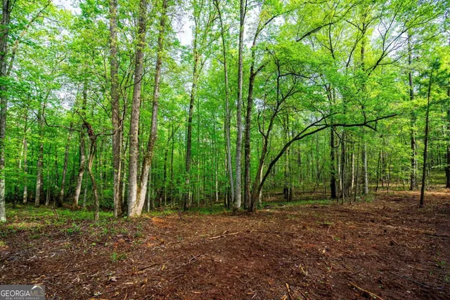 a view of outdoor space and tree