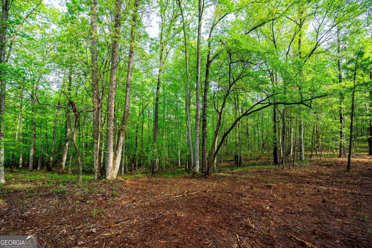 0 Cameron Mill Road LaGrange, GA 30240 - Photo 7 of 28 a view of outdoor space and tree