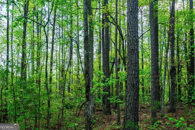 a view of outdoor space with swimming pool and patio