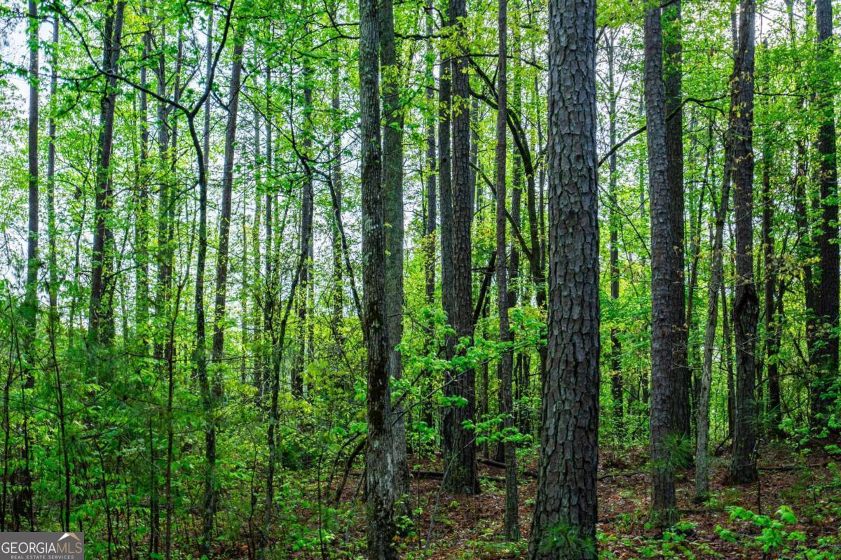0 Cameron Mill Road LaGrange, GA 30240 - Photo 8 of 28