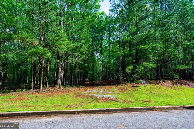 a view of a tree with a tree