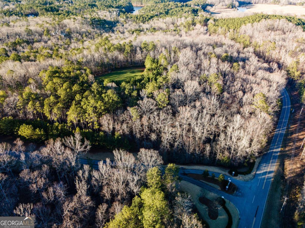 0 Cameron Mill Road LaGrange, GA 30240 - Photo 10 of 28 a view of a tree with a tree