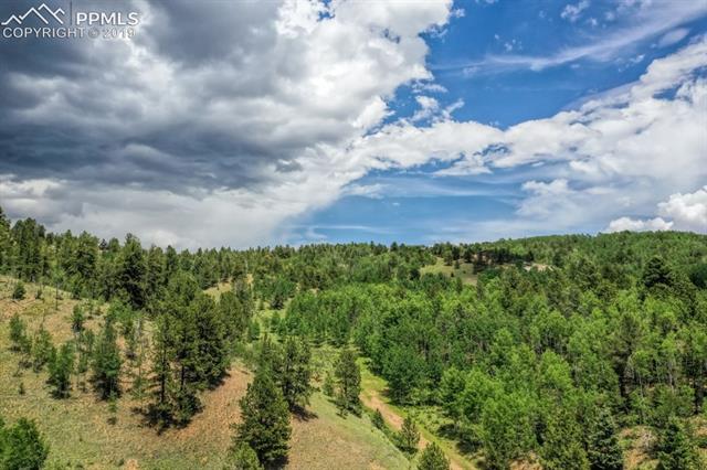 1087 Princess Road Cripple Creek, CO 80813 - Photo 2 of 14 Lot and surrounding area