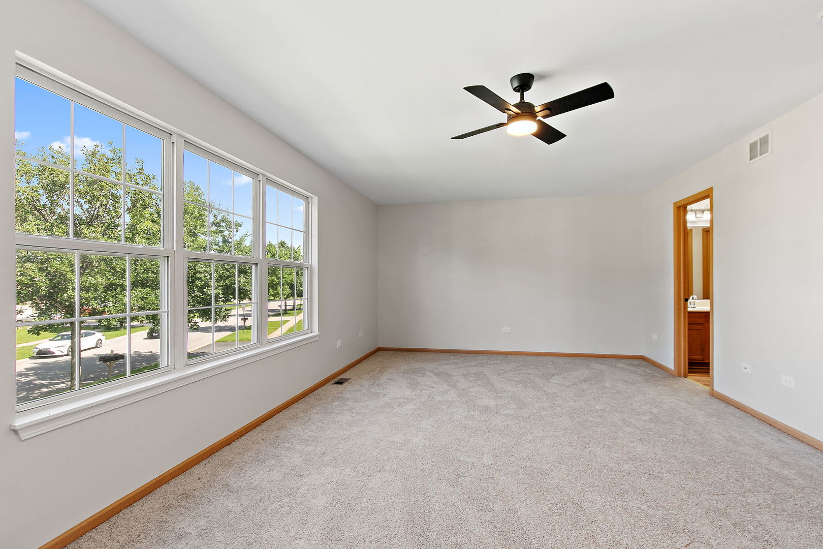 4320 Dillon Street Plano, IL 60545 - Photo 13 of 26