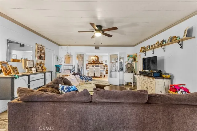 a view of a yard with plants and a large tree