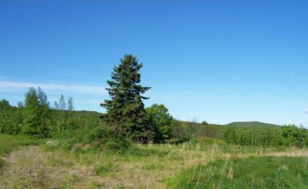 Lot 001 Dole Hill Road Holden, ME 04429 - Photo 2 of 16 2