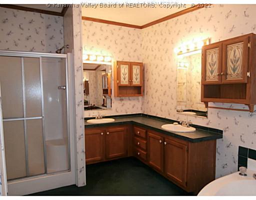 691 Joyce Road Scott Depot, WV 25560 - Photo 11 of 16 Master Bath/Spa.