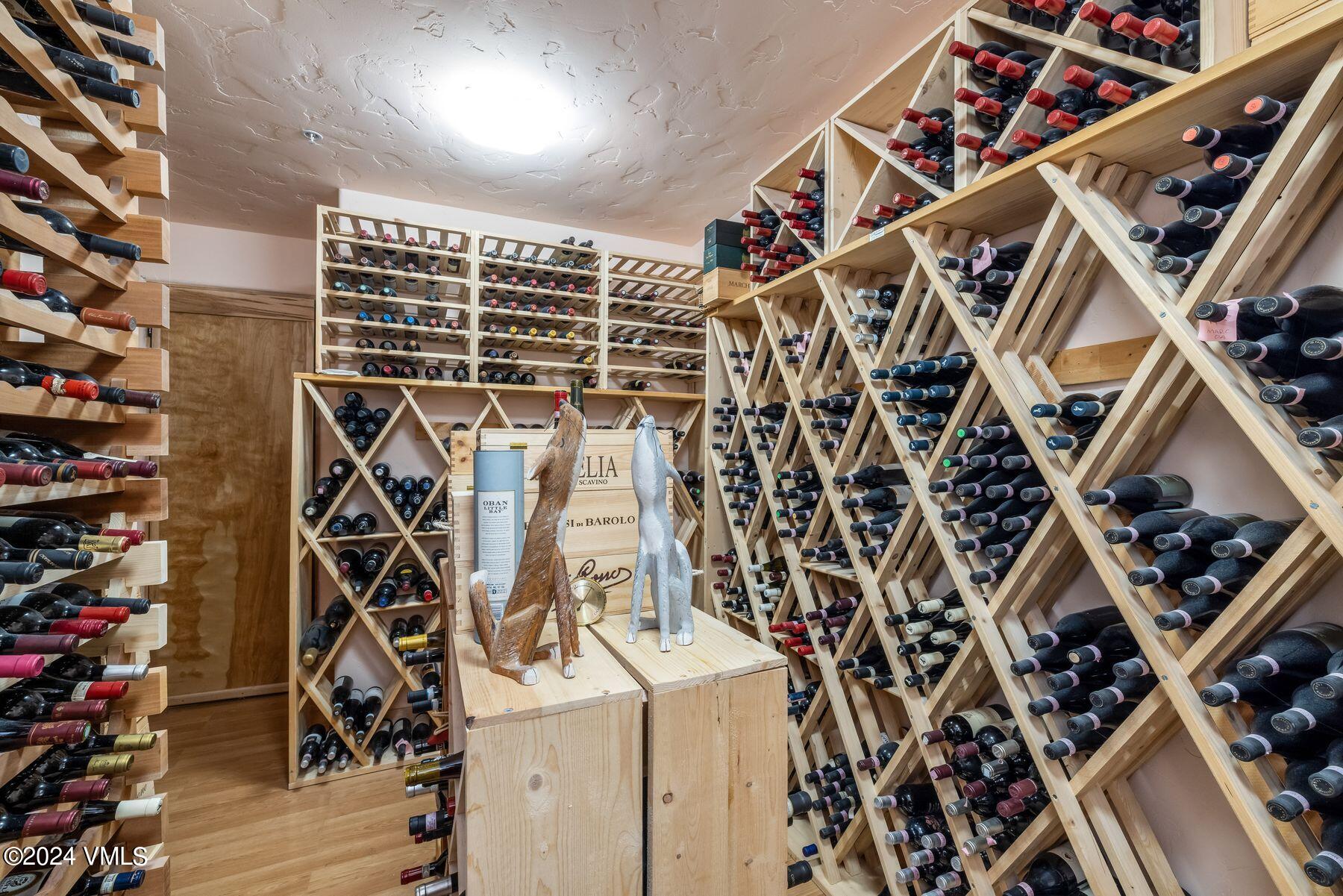 319 Granada Glen Road Edwards, CO 81632 - Photo 30 of 43 view of a room with racks on the wall