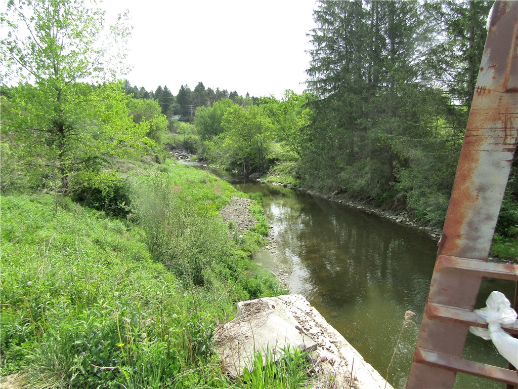 539 State Route Endicott, NY 13760 - Photo 14 of 38 creek