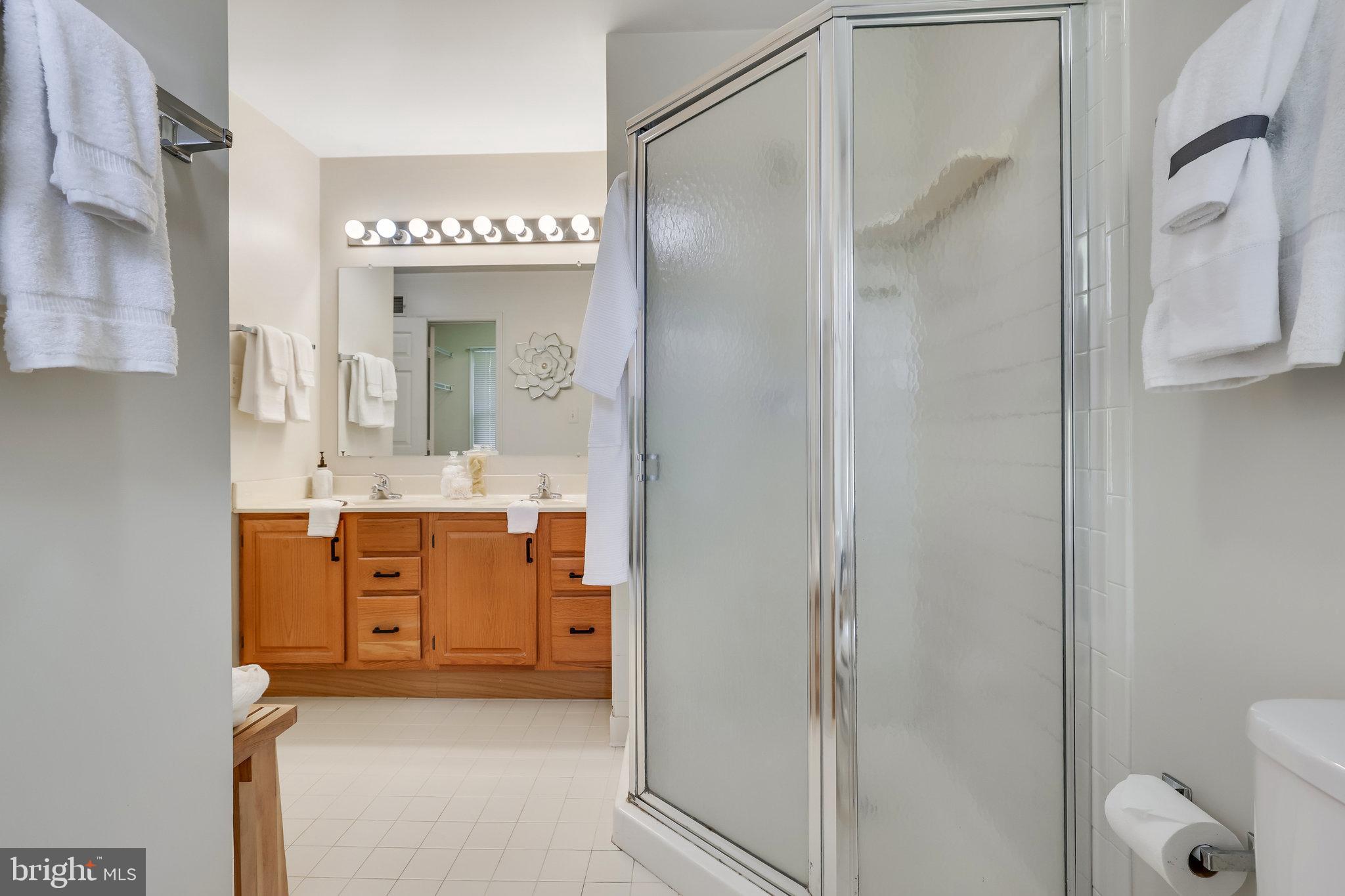 21757 Rolling Woods Place Sterling, VA 20164 - Photo 35 of 65 Primary En-Suite Bathroom