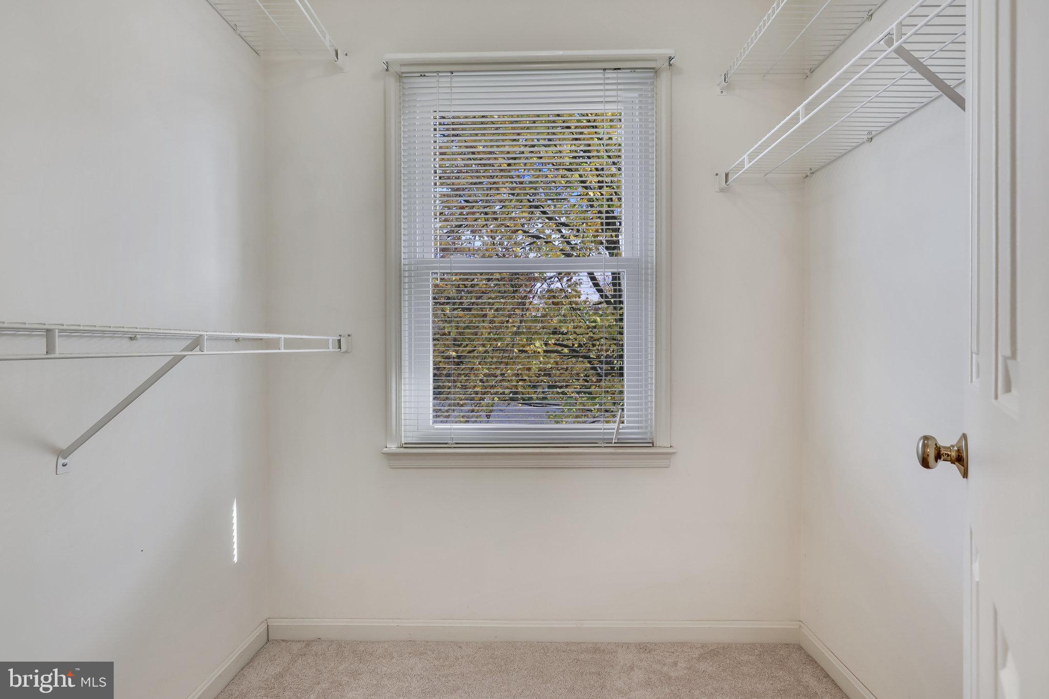 21757 Rolling Woods Place Sterling, VA 20164 - Photo 36 of 65 Primary Walk-In Closet