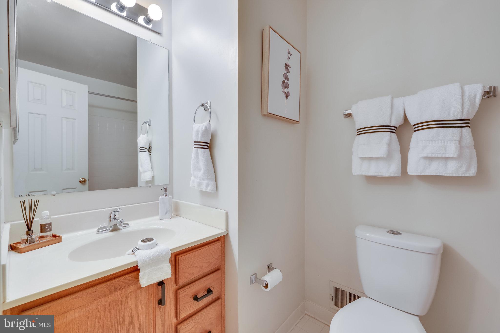 21757 Rolling Woods Place Sterling, VA 20164 - Photo 44 of 65 Upper Level
Hallway Bathroom