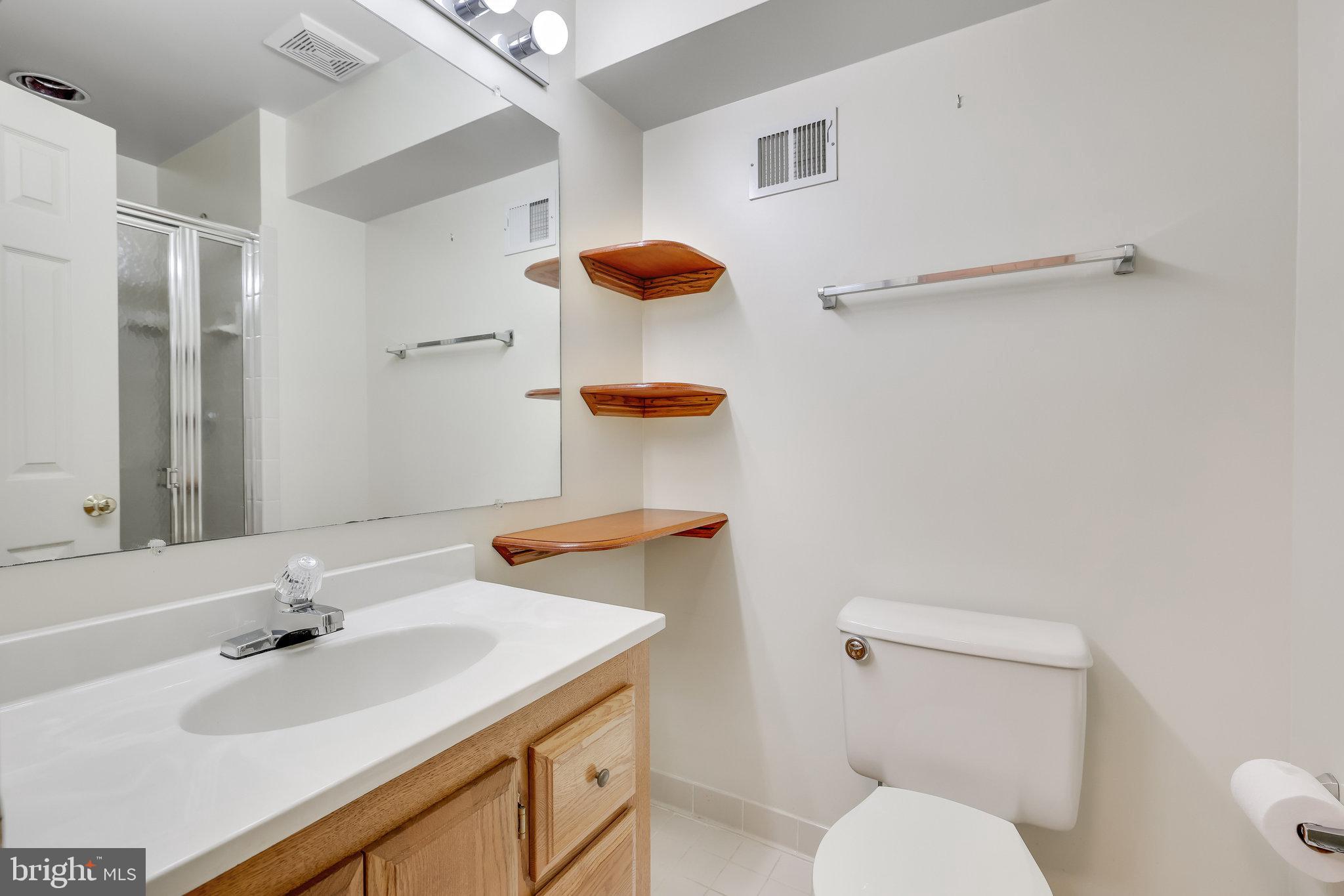 21757 Rolling Woods Place Sterling, VA 20164 - Photo 50 of 65 Lower Level
Bathroom